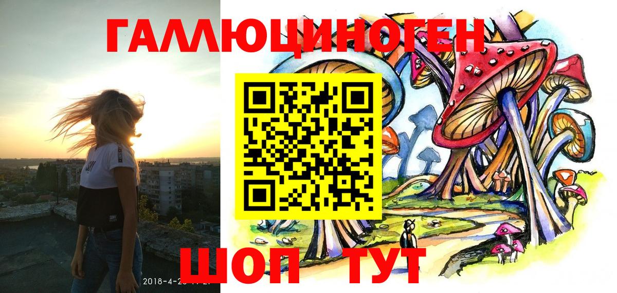 Псилоцибиновые грибы Psilocybine cubensis Белая Калитва