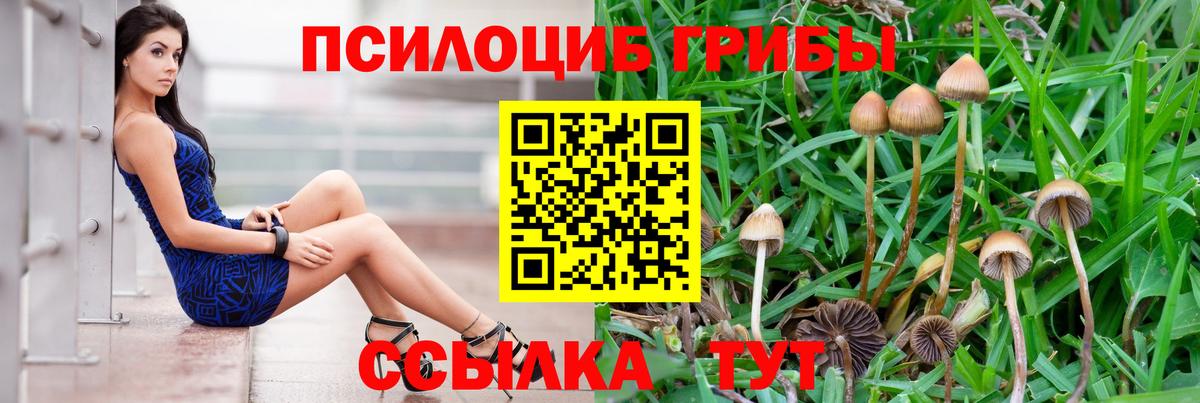 Псилоцибиновые грибы Psilocybine cubensis  Вход с VPN  где можно купить наркотик  Белая Калитва  Псилоцибиновые грибы прущие грибы 